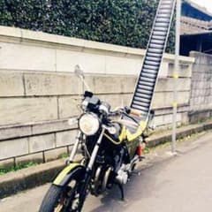ハーマイオニー様専用！のサムネイル