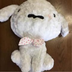 シロのぬいぐるみのサムネイル