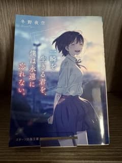 一瞬を生きる君を、僕は永遠に忘れない。　冬野夜空のサムネイル