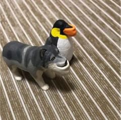 シャクレルプラネット3☆セット売りのサムネイル