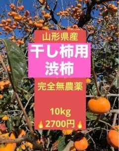 春様　専用のサムネイル