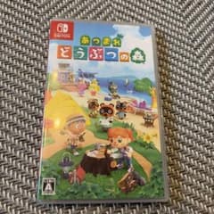 Switch 얽힌 돈부츠의 숲