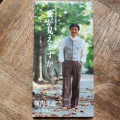 堀内孝雄 愛が見えますか 8cm CDシングルのサムネイル