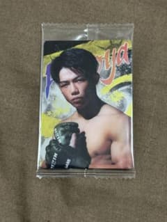RIZINウエハース24 No.25ヒロヤのサムネイル