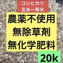 ⭐️農薬は不使用⭐️20キロ 新米 兵庫県産 コシヒカリ 玄米 一等米♪ 精米無料 ⭐️農薬は不使用⭐️20キロ 新米 兵庫県産 コシヒカリ 玄米 一等米