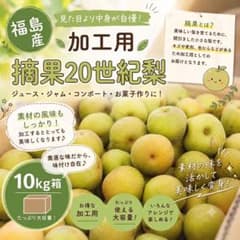 福島県産 摘果20世紀梨 加工用 10kg 訳あり ジュース ジャム用のサムネイル