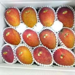 沖縄県産マンゴー12玉入り送料込みのサムネイル