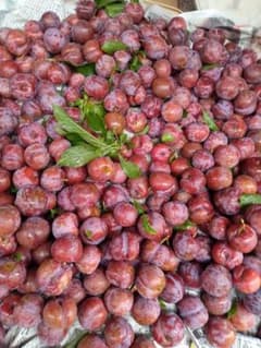 2■奄美プラム ■約1.5kg■すもも■農薬除草剤化学肥料等栽培期間中不使用■のサムネイル