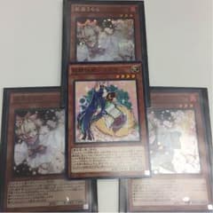 妖精伝姫 カグヤ 単品のサムネイル