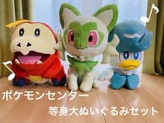 m25275901623_1.jpg?1713751170