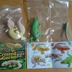 ヤモリ大全 二種類のサムネイル