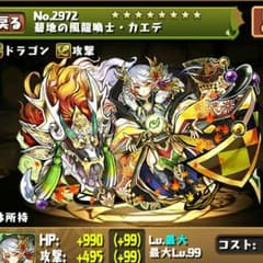 パスドラカエデのサムネイル