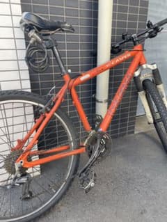 ルイガノ　キャスパーのサムネイル