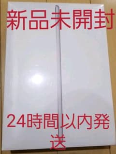 iPad 第9世代 WiFi 256GB シルバーのサムネイル