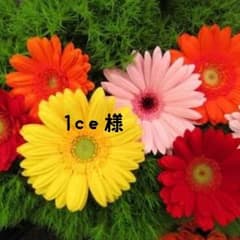 ★1ce様専用★→専用完了のサムネイル