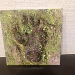 【紙ジャケット】ザ・クロマニヨンズ CD＋DVDのサムネイル