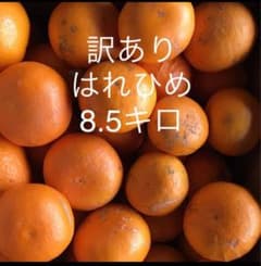 訳ありはれひめ　8.5キロのサムネイル