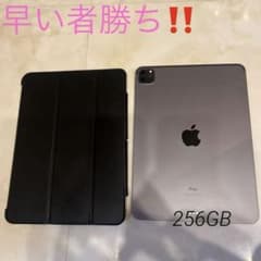 Apple iPad Pro 11インチ 第2世代 256GBのサムネイル