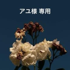 アユ様専用のサムネイル