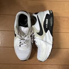 NIKE エアマックスエクシー　26cmのサムネイル
