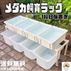 ★メダカ飼育ラック　白2段12個置き★ めだか飼育棚 NVBOXビオトープg Amazon | おひさまめだか メダカ飼育ラック (白, 2段12個置き