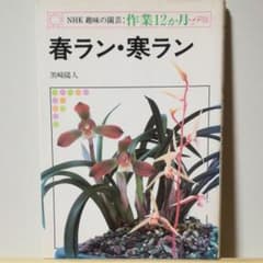 NHK趣味の園芸　作業12か月　春ラン・寒ランのサムネイル