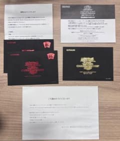 【カード無】遊戯王ワールドチャンピオンシップ 2019 2018 封筒 通知書 カード無】遊戯王ワールドチャンピオンシップ 2019 2018 封筒 通知書