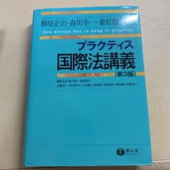 プラクティス国際法講義のサムネイル