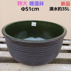 新品 特大51 陶器睡蓮鉢 メダカ鉢 難有 エメラルドグリーン 緑黒 高級