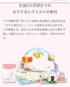 けろけろ様専用　新品　チャレンジベビー特別号　ジム、メロディートイ、絵本とおまけのサムネイル