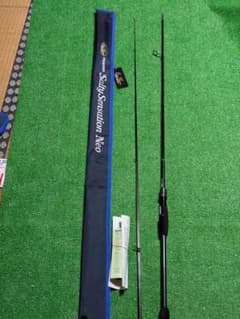 堤*俊様 新商品26エバーグリーンソルティセンセイションNEO NEOS-79M