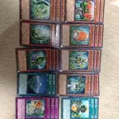 遊戯王 森羅デッキパーツセットのサムネイル