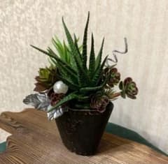 多肉植物⭐︎フラワーアレンジメント⭐︎造花のサムネイル