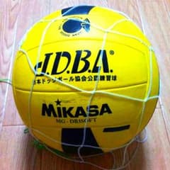 ドッヂボールのボールのサムネイル