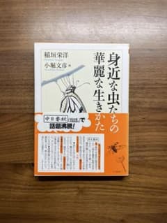 身近な虫たちの華麗な生きかたのサムネイル