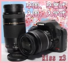初心者オススメ⭐️ダブルレンズセット⭐️Canon Kiss X3⭐️EF75-300