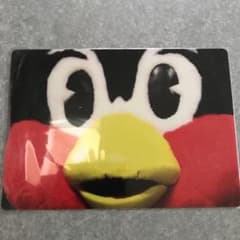 つば九郎  下敷きのサムネイル