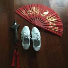 太極拳練習用具のサムネイル