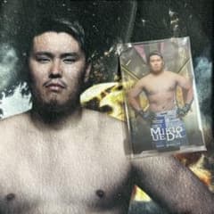 上田幹雄 グッズのサムネイル