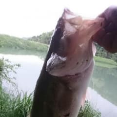 専用のサムネイル