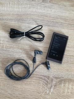 SONY Walkman A series NW-A45のサムネイル