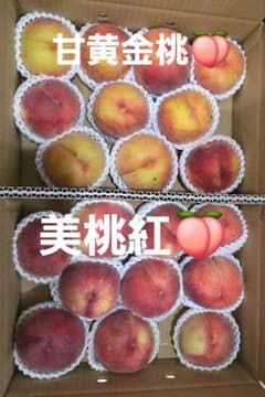 山形県産 甘黄金桃 美桃紅 詰め合わせ 訳あり 3キロ 2箱5時までのサムネイル