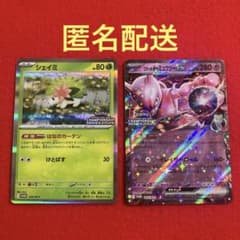 ロケット団のミュウツーex シェイミ プロモ チャンピオンシップ