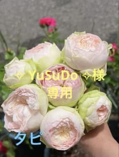 ✧ YuSuDo ✧様専用ページのサムネイル