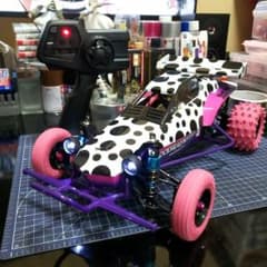 タミヤ　ホーネットEVO JUN WATANABE 仕様　匠カスタム　ブラシレス タミヤ ホーネットEVO. ブラシレス タミヤ ホーネットEVO JUN WATANABE