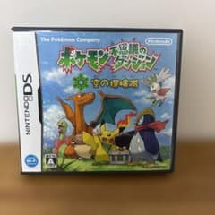 空箱＆取扱説明書のみ】ポケモン 不思議のダンジョン空の探検隊 - メルカリ