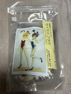 う*し様 1/8 機動戦士ガンダム セイラとフラウ バニーさん Ver. ガレー 