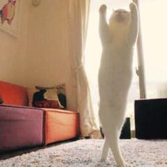 あやのこ様専用ページのサムネイル