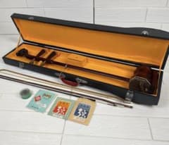 High-quality Chinese Stringed Erhu with Dragon Head, Folk Instrument, Snakeskin Leather, Includes Hard Case