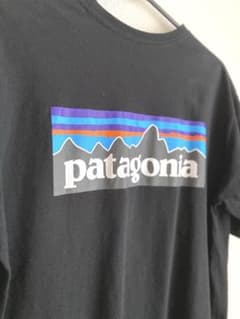 パタゴニア　tシャツ　※未着用のサムネイル